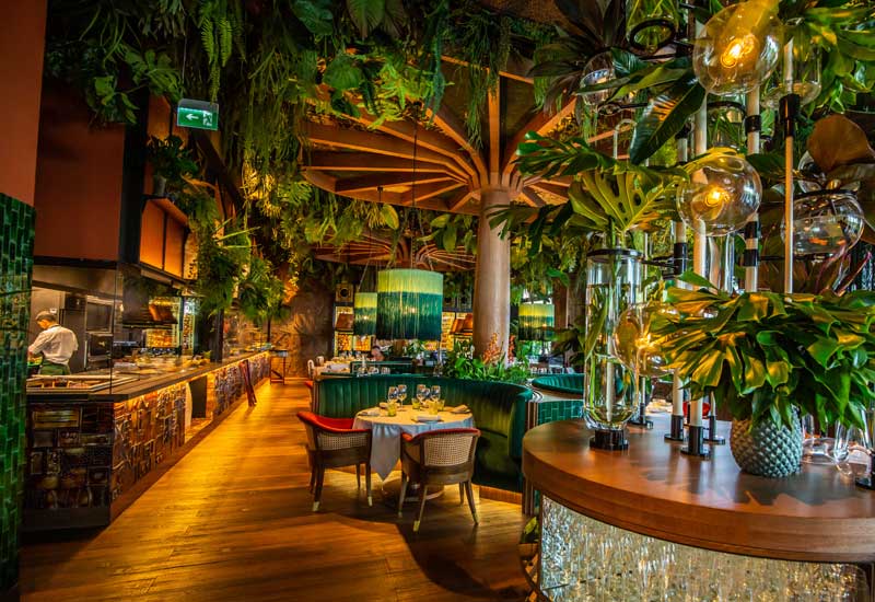 Spotlight: Jungle-themed fun at Amazonico Dubai - Caterer Middle East