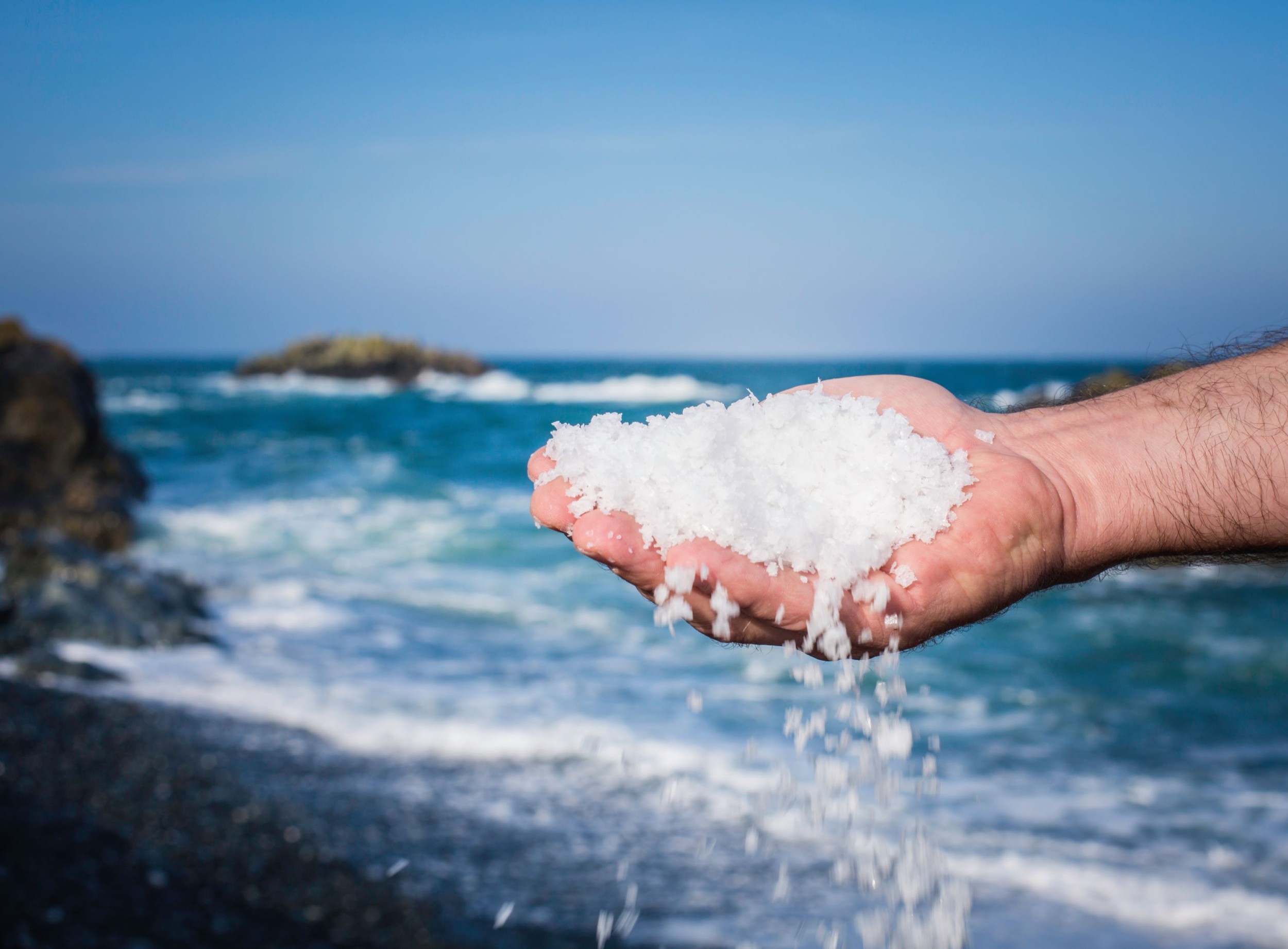 Cornish Sea Salt to be distributed for foodservice by Bidfood UAE ...