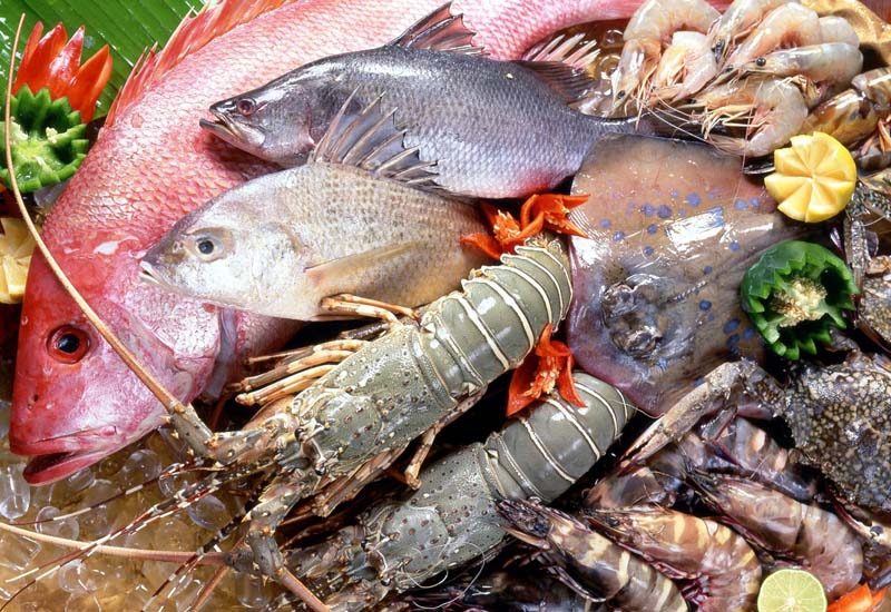 Seafood Seafood