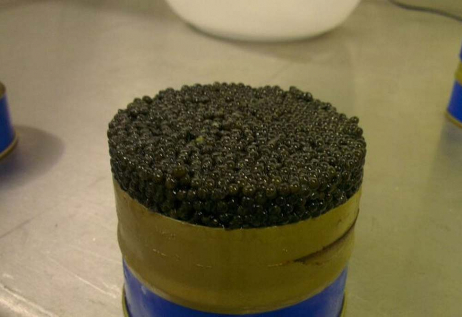 Emirates Aquatech currently operates the world?s largest indoor recirculating sturgeon and caviar farms. Emirates Aquatech currently operates the world?s largest indoor recirculating sturgeon and caviar farms.