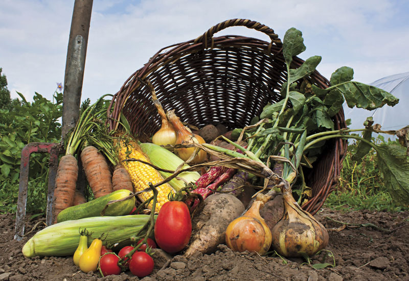 Going local and organic is a trend. Going local and organic is a trend.