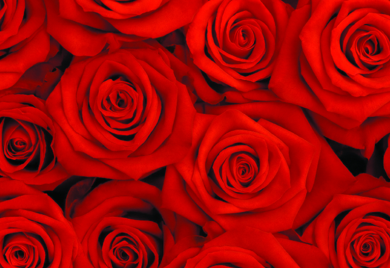 Valentines celebrations are a chance for for F&B outlets to try something different to entice customers. Valentines celebrations are a chance for for F&B outlets to try something different to entice customers.