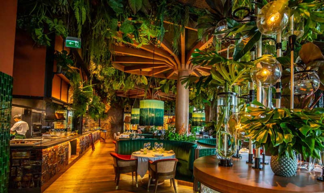 Spotlight Jungle Themed Fun At Amazonico Dubai Restaurants