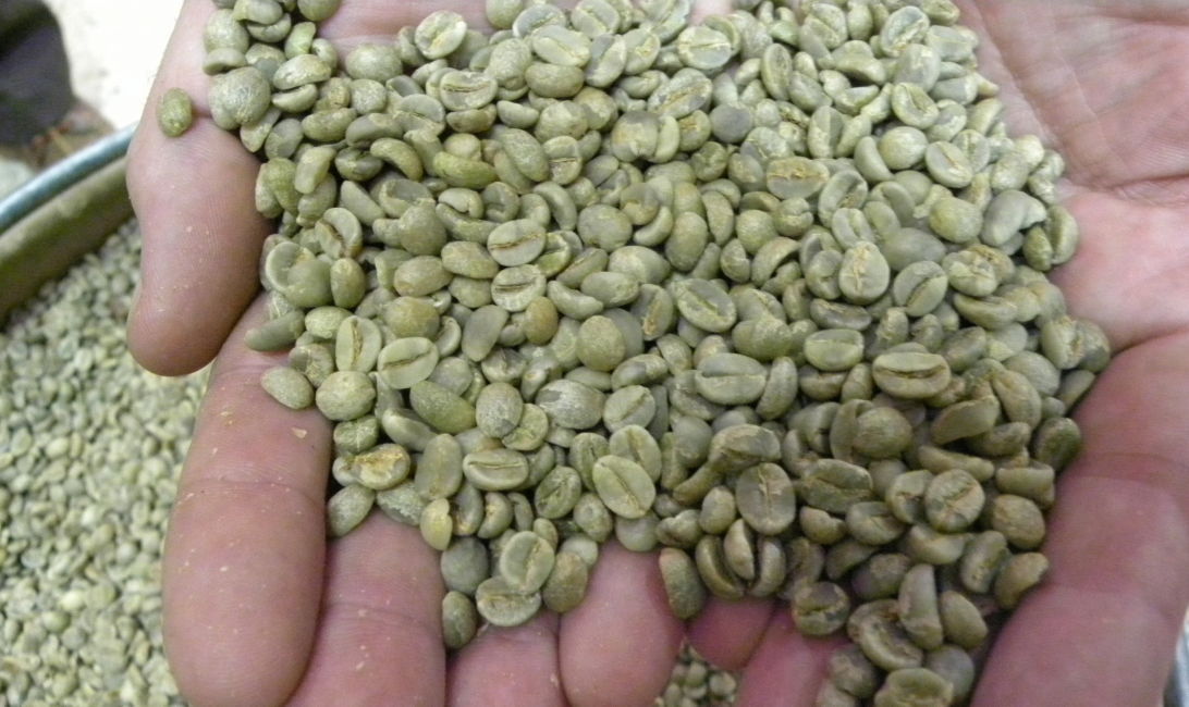 yemeni harazi coffee